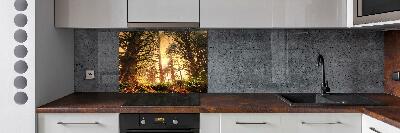 Cooker splashback the rainforest