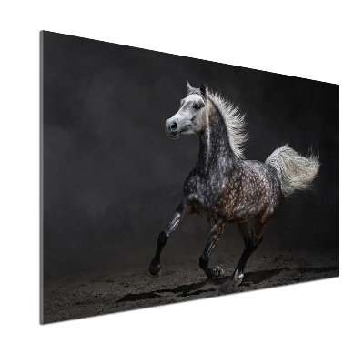 Kitchen splashback Gray Arabian horse