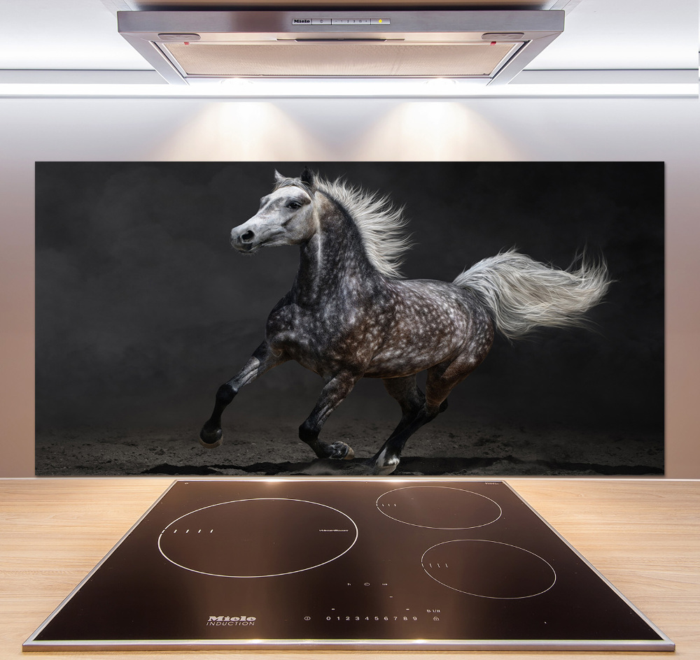 Kitchen splashback Gray Arabian horse