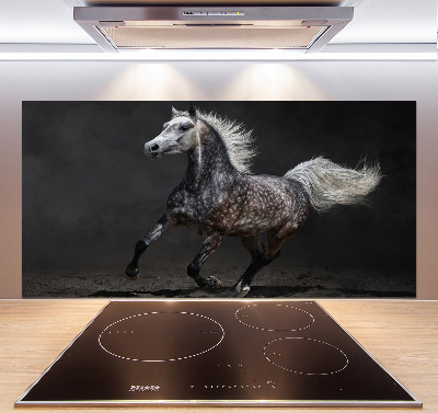 Kitchen splashback Gray Arabian horse