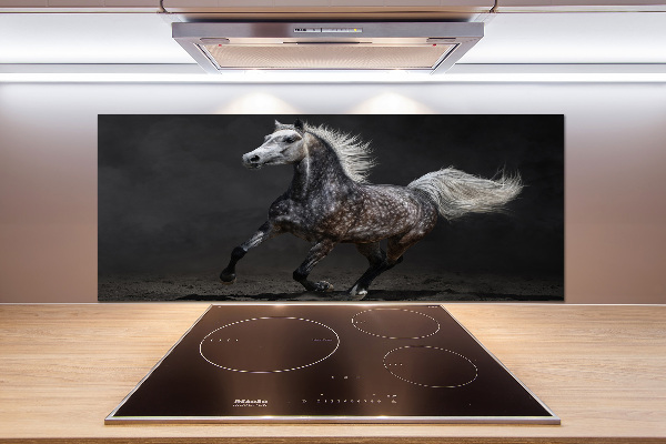 Kitchen splashback Gray Arabian horse