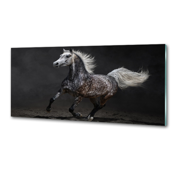 Kitchen splashback Gray Arabian horse