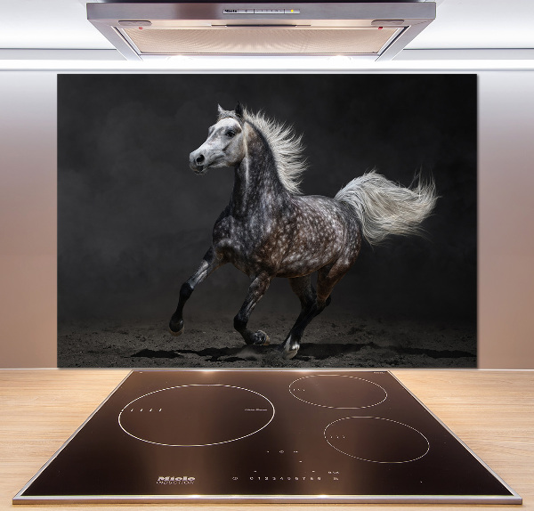 Kitchen splashback Gray Arabian horse