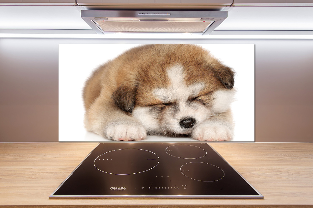 Splashback panel for kitchen Akita puppy