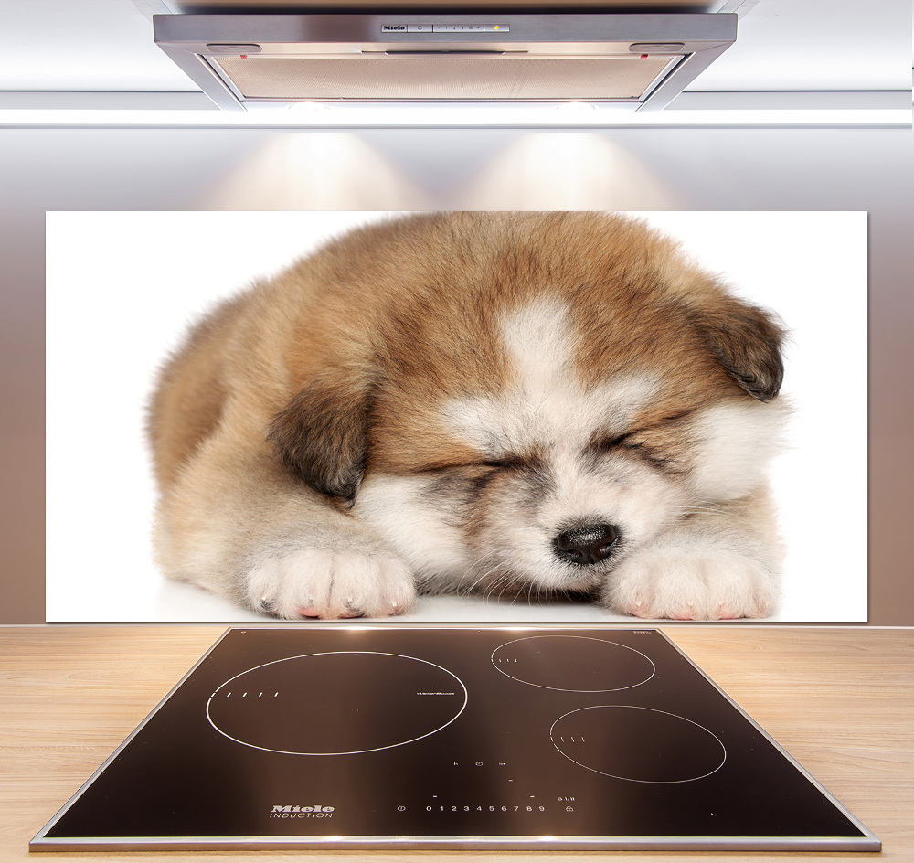 Splashback panel for kitchen Akita puppy