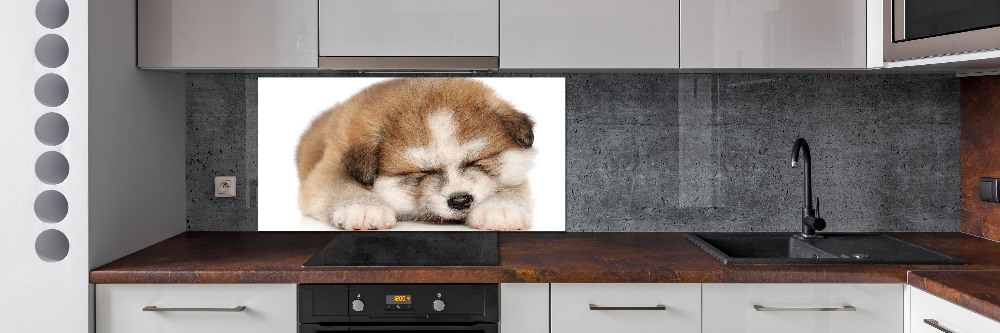 Splashback panel for kitchen Akita puppy