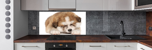 Splashback panel for kitchen Akita puppy