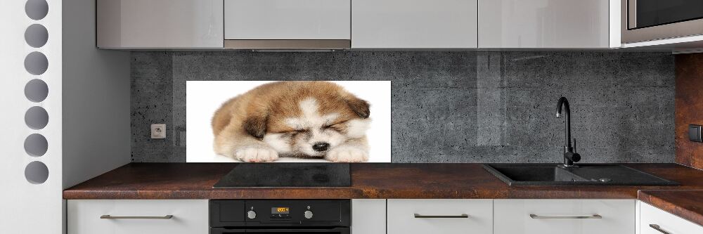 Splashback panel for kitchen Akita puppy