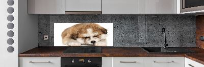 Splashback panel for kitchen Akita puppy