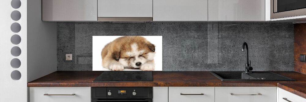 Splashback panel for kitchen Akita puppy