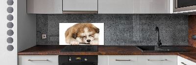 Splashback panel for kitchen Akita puppy