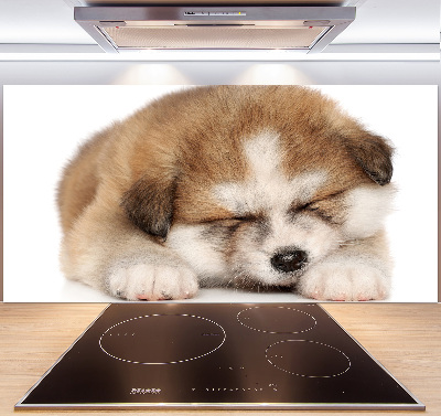 Splashback panel for kitchen Akita puppy