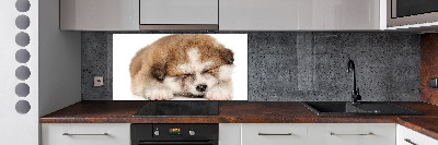 Splashback panel for kitchen Akita puppy