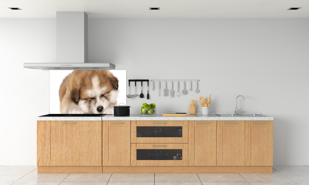 Splashback panel for kitchen Akita puppy