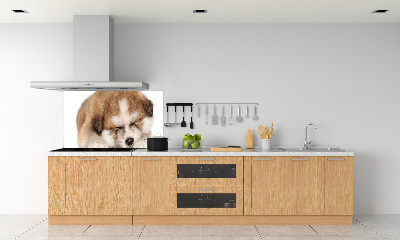 Splashback panel for kitchen Akita puppy