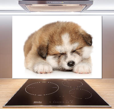 Splashback panel for kitchen Akita puppy