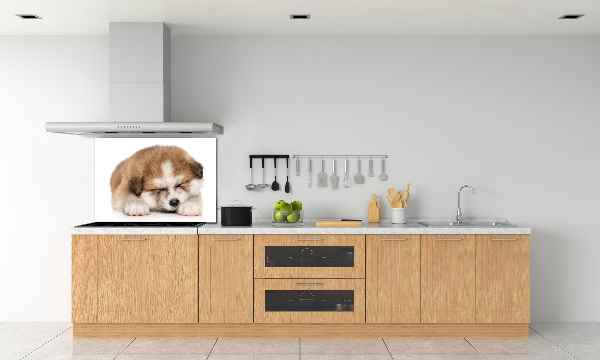 Splashback panel for kitchen Akita puppy