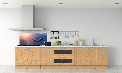 Cooker splashback Plane