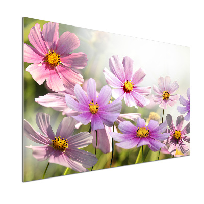 Kitchen splashback Flowers in the meadow