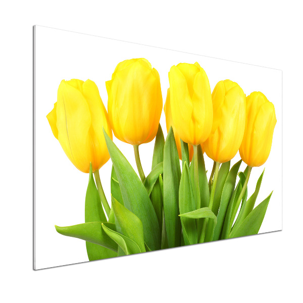 Cooker splashback Yellow tulips