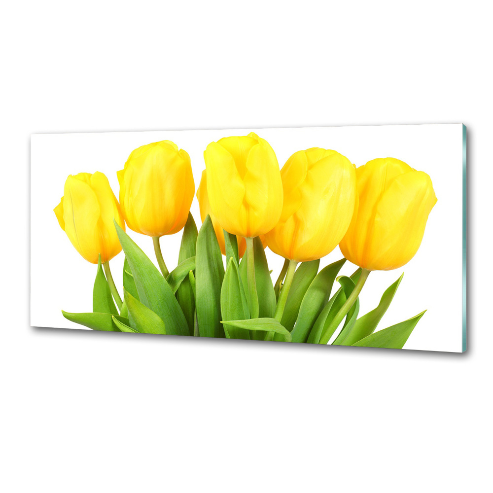 Cooker splashback Yellow tulips