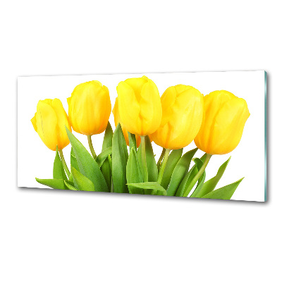 Cooker splashback Yellow tulips