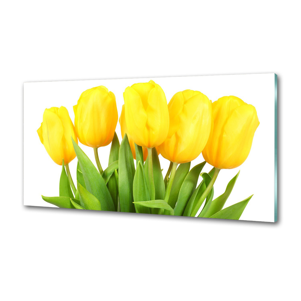 Cooker splashback Yellow tulips