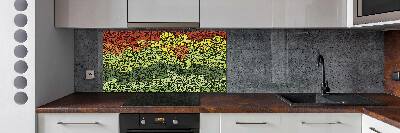 Cooker splashback Colorful waves