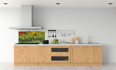 Cooker splashback Colorful waves