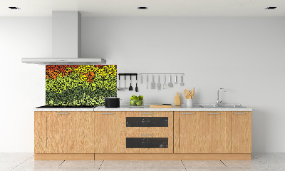 Cooker splashback Colorful waves