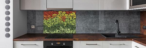 Cooker splashback Colorful waves