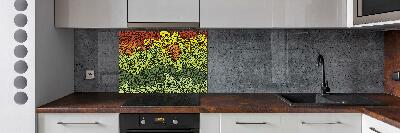 Cooker splashback Colorful waves