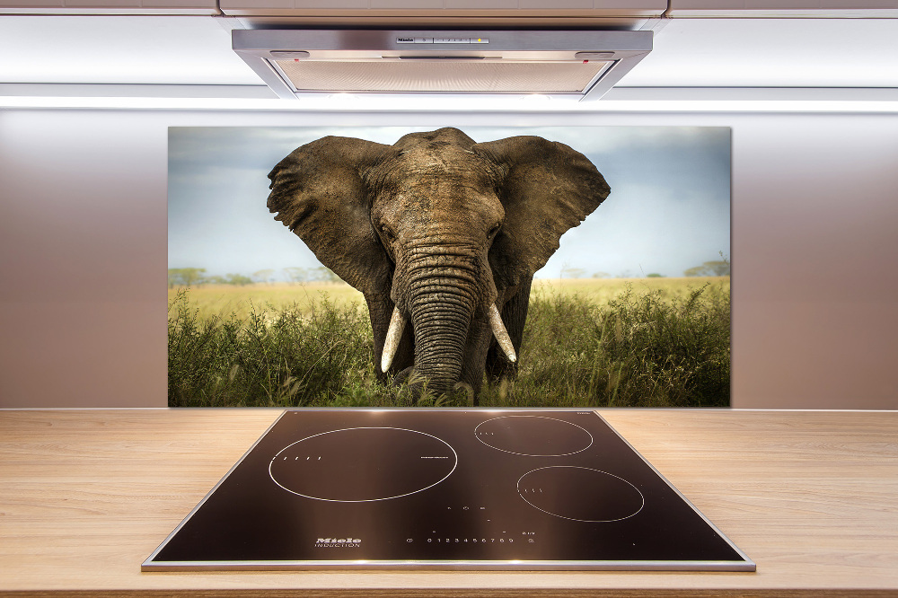 Splashback panel for kitchen Elephant in the savanna