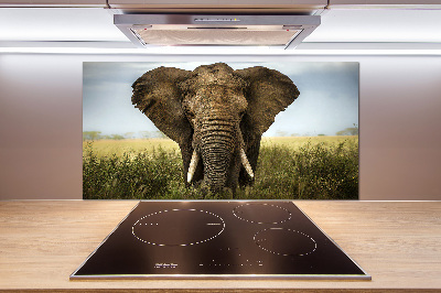 Splashback panel for kitchen Elephant in the savanna