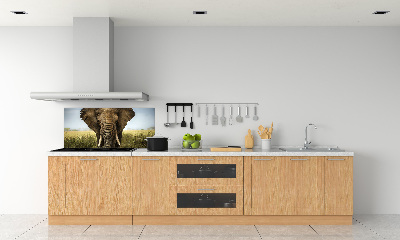 Splashback panel for kitchen Elephant in the savanna