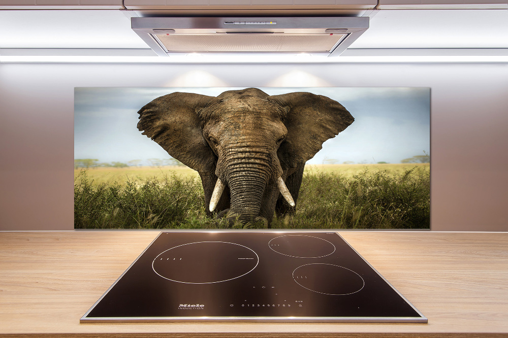 Splashback panel for kitchen Elephant in the savanna