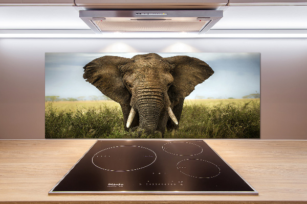 Splashback panel for kitchen Elephant in the savanna