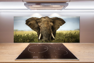 Splashback panel for kitchen Elephant in the savanna