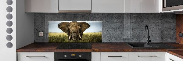 Splashback panel for kitchen Elephant in the savanna