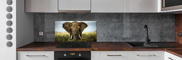 Splashback panel for kitchen Elephant in the savanna