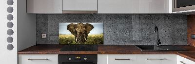 Splashback panel for kitchen Elephant in the savanna