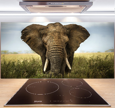 Splashback panel for kitchen Elephant in the savanna