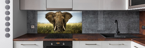 Splashback panel for kitchen Elephant in the savanna