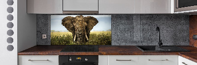 Splashback panel for kitchen Elephant in the savanna