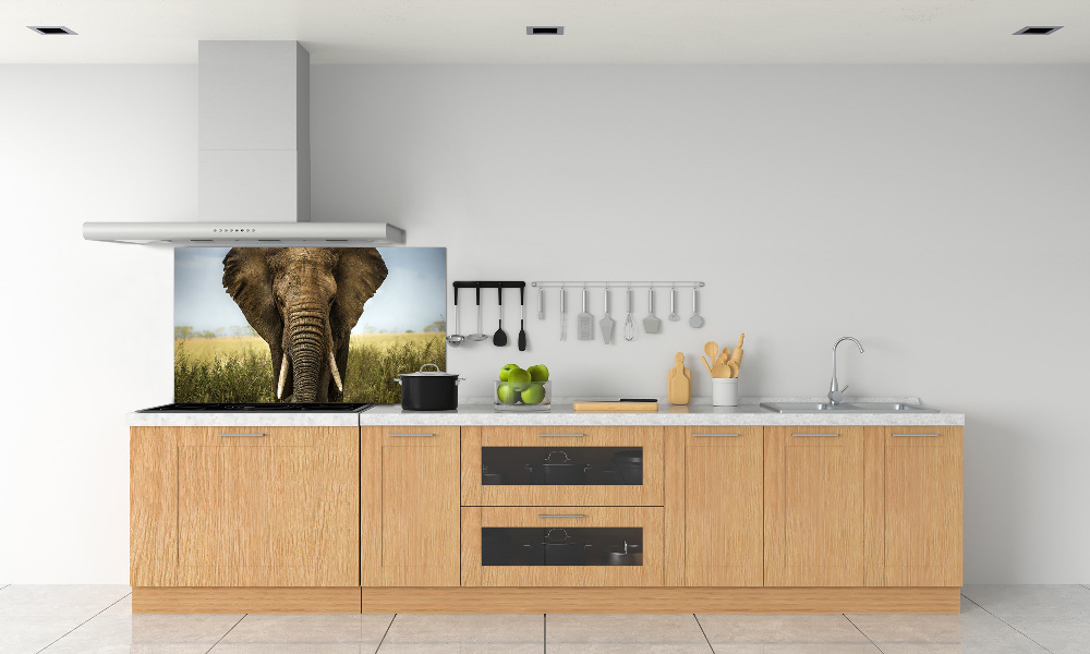 Splashback panel for kitchen Elephant in the savanna