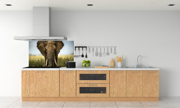 Splashback panel for kitchen Elephant in the savanna