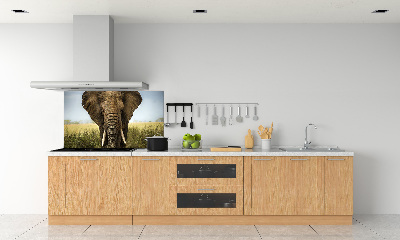 Splashback panel for kitchen Elephant in the savanna