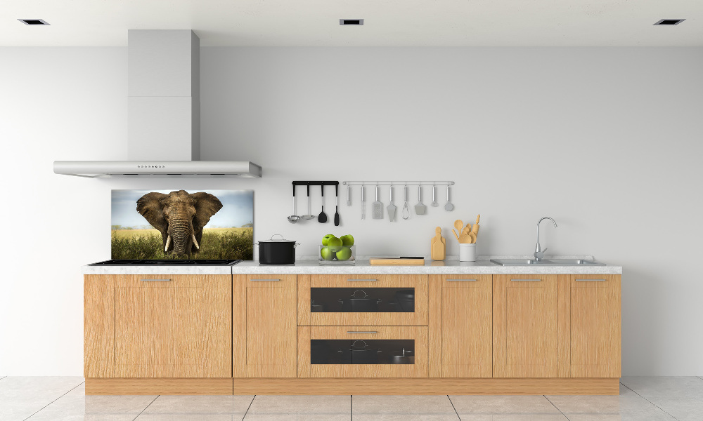 Splashback panel for kitchen Elephant in the savanna