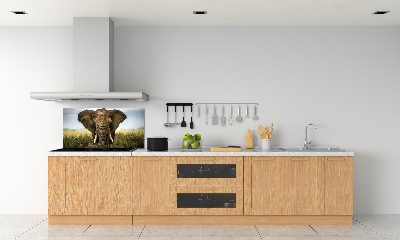 Splashback panel for kitchen Elephant in the savanna