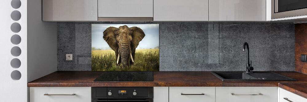 Splashback panel for kitchen Elephant in the savanna